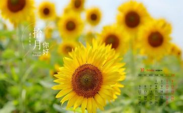 团10月工作计划优质8篇
