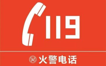 119述职报告模板5篇