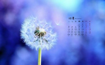 大班12月工作计划月计划5篇