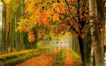 大班12月心得8篇