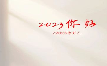 2023新教师的个人总结参考8篇