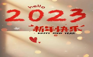 2023新教师的个人总结精选8篇