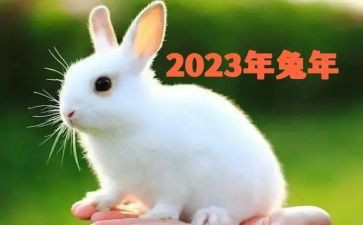 2023团干部心得体会参考5篇