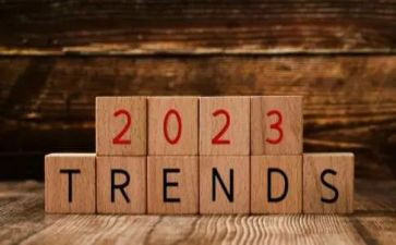 2023年督学个人工作计划5篇