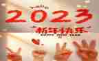 公司部门2023年工作计划8篇