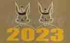 2023语训教师工作总结优质7篇
