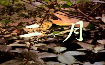 2月份工作计划6篇