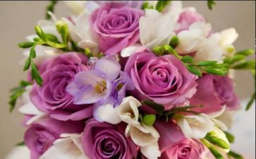 520物业活动方案最新8篇