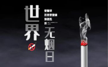 幼儿园教师531研修总结7篇