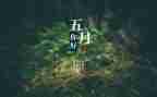 5月工作总结和计划推荐7篇