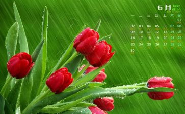 6月安全活动方案8篇