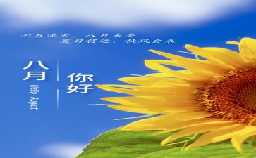 个人8月工作总结7篇