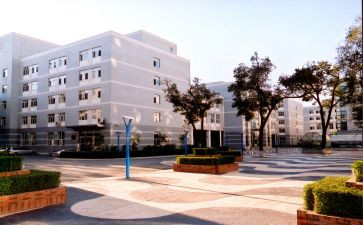 985大学申请书模板5篇