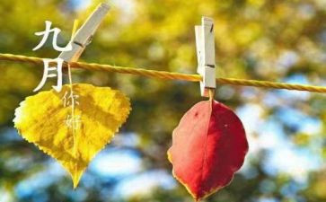 幼儿园教师9月工作总结8篇