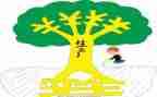 安全课心得体会300字6篇