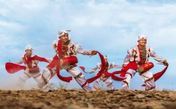 安塞腰鼓读后感7篇