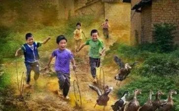 八零后述职报告参考7篇