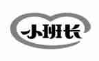 班长心得体会5篇