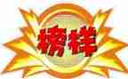 看榜样5心得体会7篇