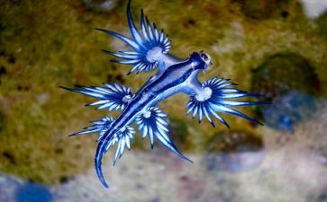 生物教学心得体会7篇