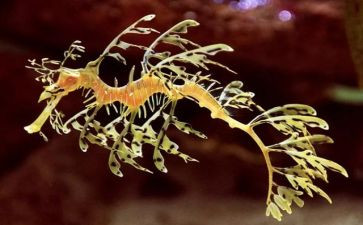 生物教师的心得体会6篇