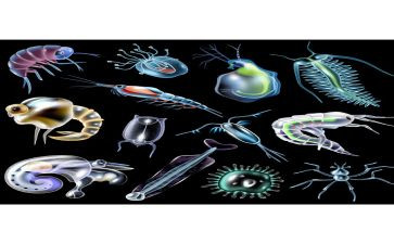 初中生物老师年终工作总结5篇