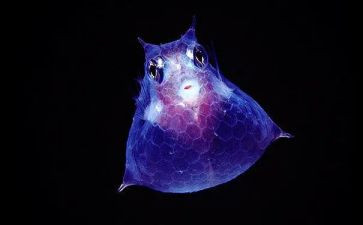 生物教师学期总结8篇