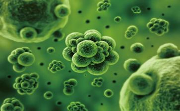 生物教师总结与反思8篇