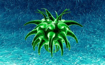 生物教师年度总结精选5篇