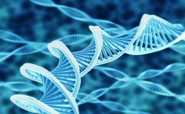 生物实验室教学总结6篇