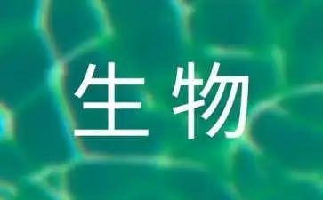 生物老师八上工作总结8篇