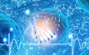 高中生物老师教学总结8篇