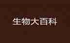 高三生物组工作总结推荐7篇