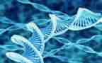 做生物实验的心得体会6篇