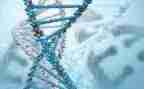 生物老师八上工作总结优质5篇