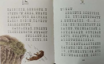 斑羚飞渡读后感精选7篇