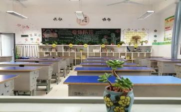 幼儿园大班特色活动方案8篇