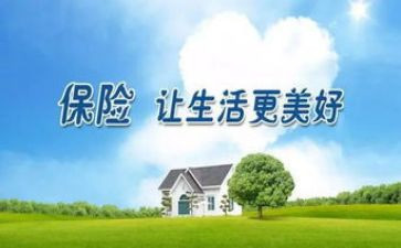 保险工作年终总结优质6篇