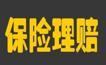 干保险心得体会6篇