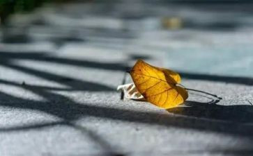 背后的灯作文优质7篇