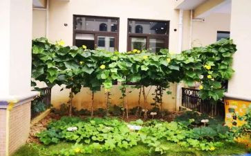 我爱吃菜教案7篇