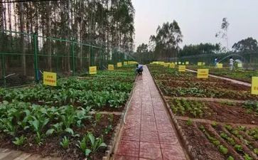 传菜领班的工作总结8篇