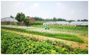 湘菜文化活动策划方案范文7篇