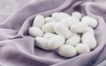 蚕的调查报告精选7篇