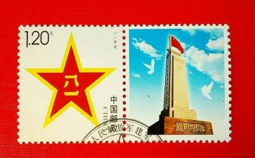 815心得体会精选8篇