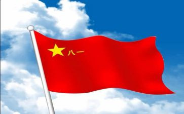 815心得体会优秀8篇