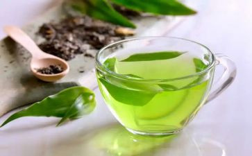 茶道的心得7篇