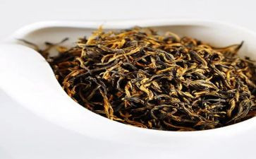 采茶调教案7篇