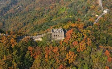 长城游的作文优秀5篇