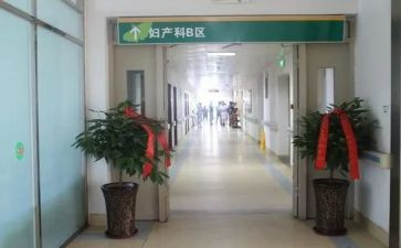 护士产科实习心得体会7篇